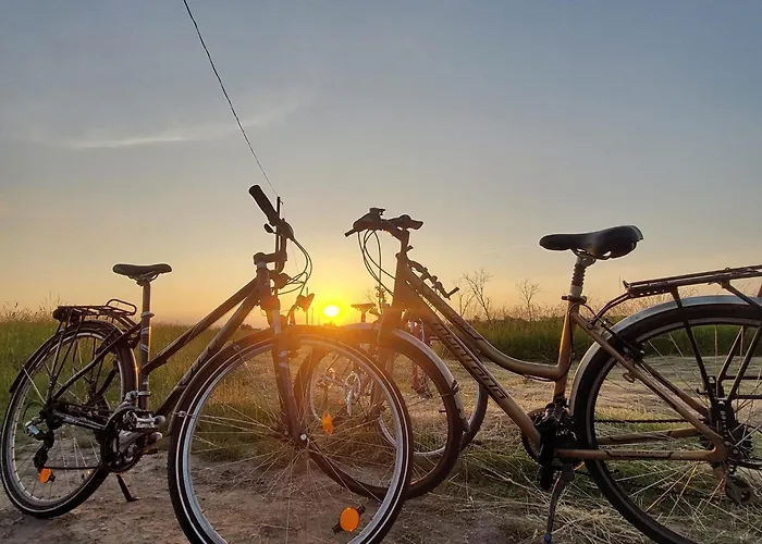 Lexi Jakuzzis Apartment *